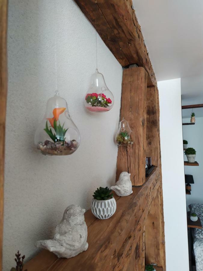 La grande terrine Appartement Kaysersberg-Vignoble Buitenkant foto