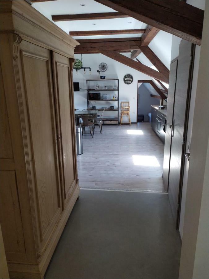 La grande terrine Appartement Kaysersberg-Vignoble Buitenkant foto
