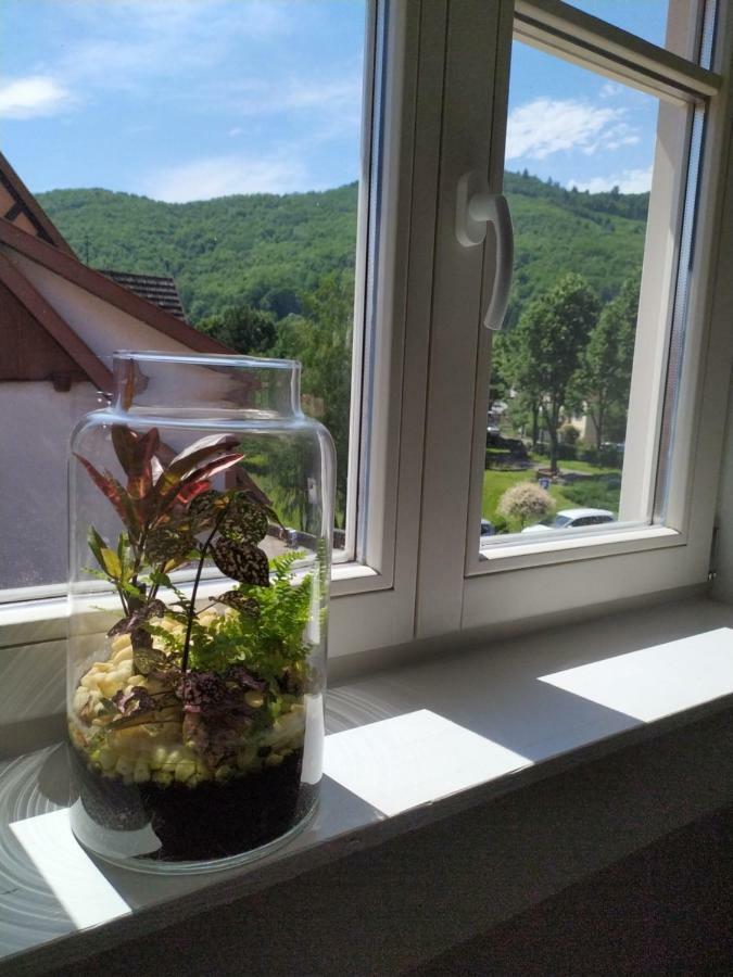 La grande terrine Appartement Kaysersberg-Vignoble Buitenkant foto