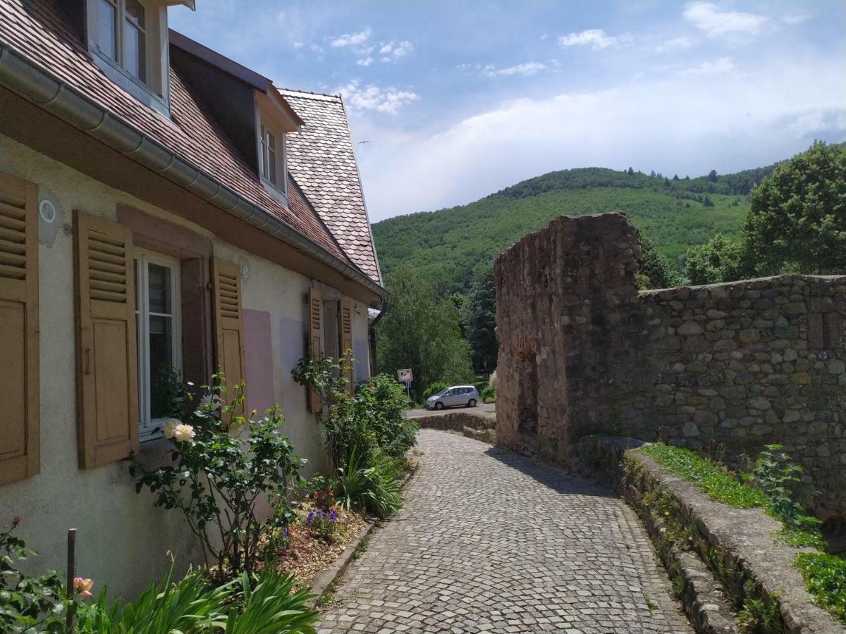 La grande terrine Appartement Kaysersberg-Vignoble Buitenkant foto