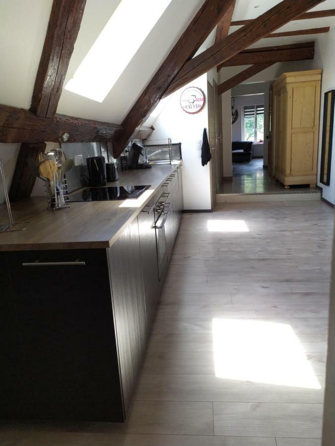 La grande terrine Appartement Kaysersberg-Vignoble Buitenkant foto