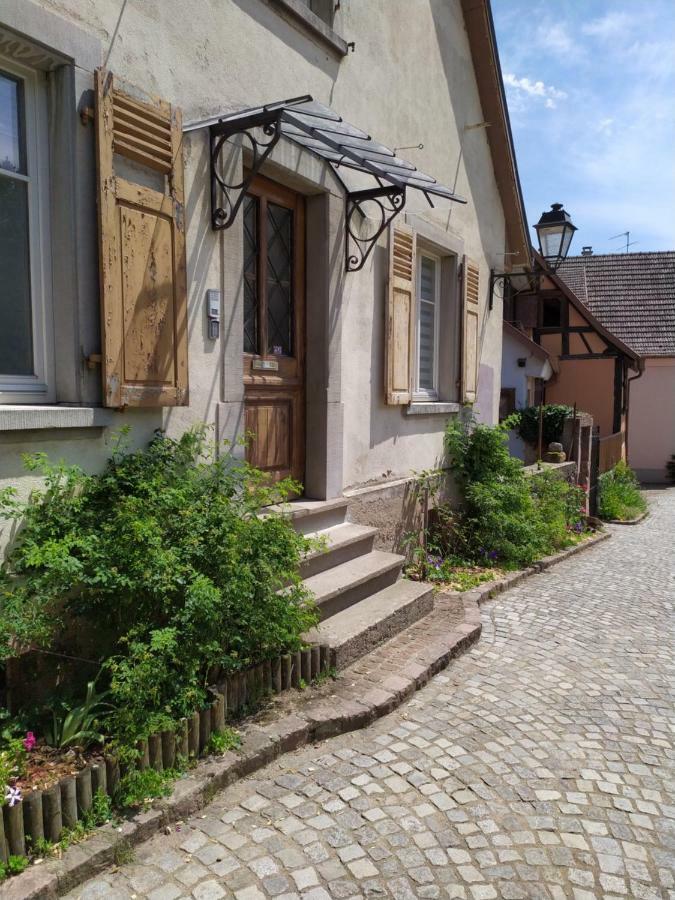 La grande terrine Appartement Kaysersberg-Vignoble Buitenkant foto