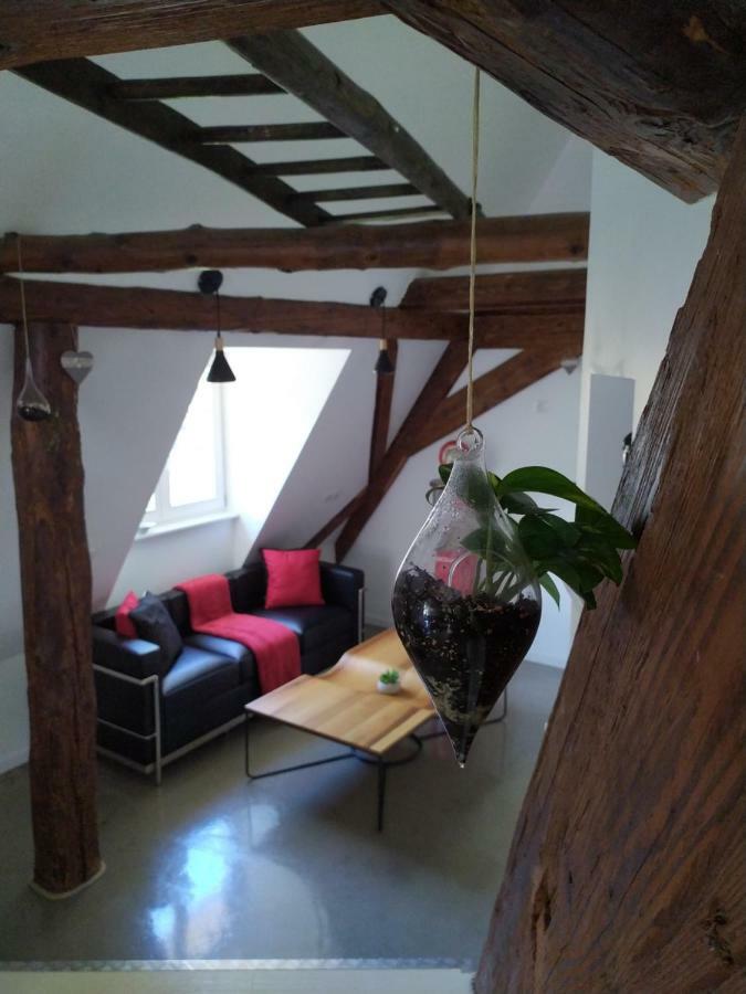 La grande terrine Appartement Kaysersberg-Vignoble Buitenkant foto