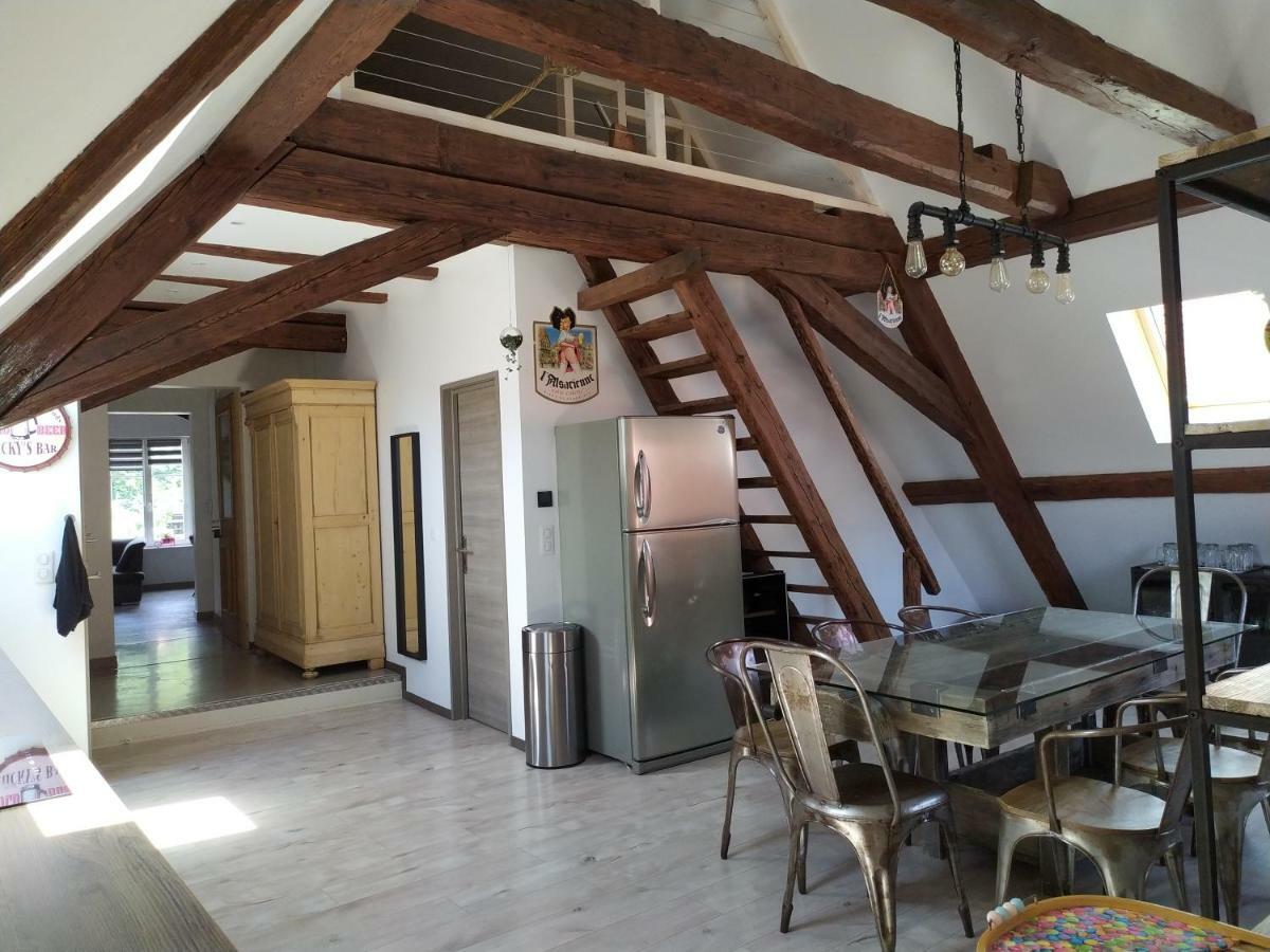 La grande terrine Appartement Kaysersberg-Vignoble Buitenkant foto