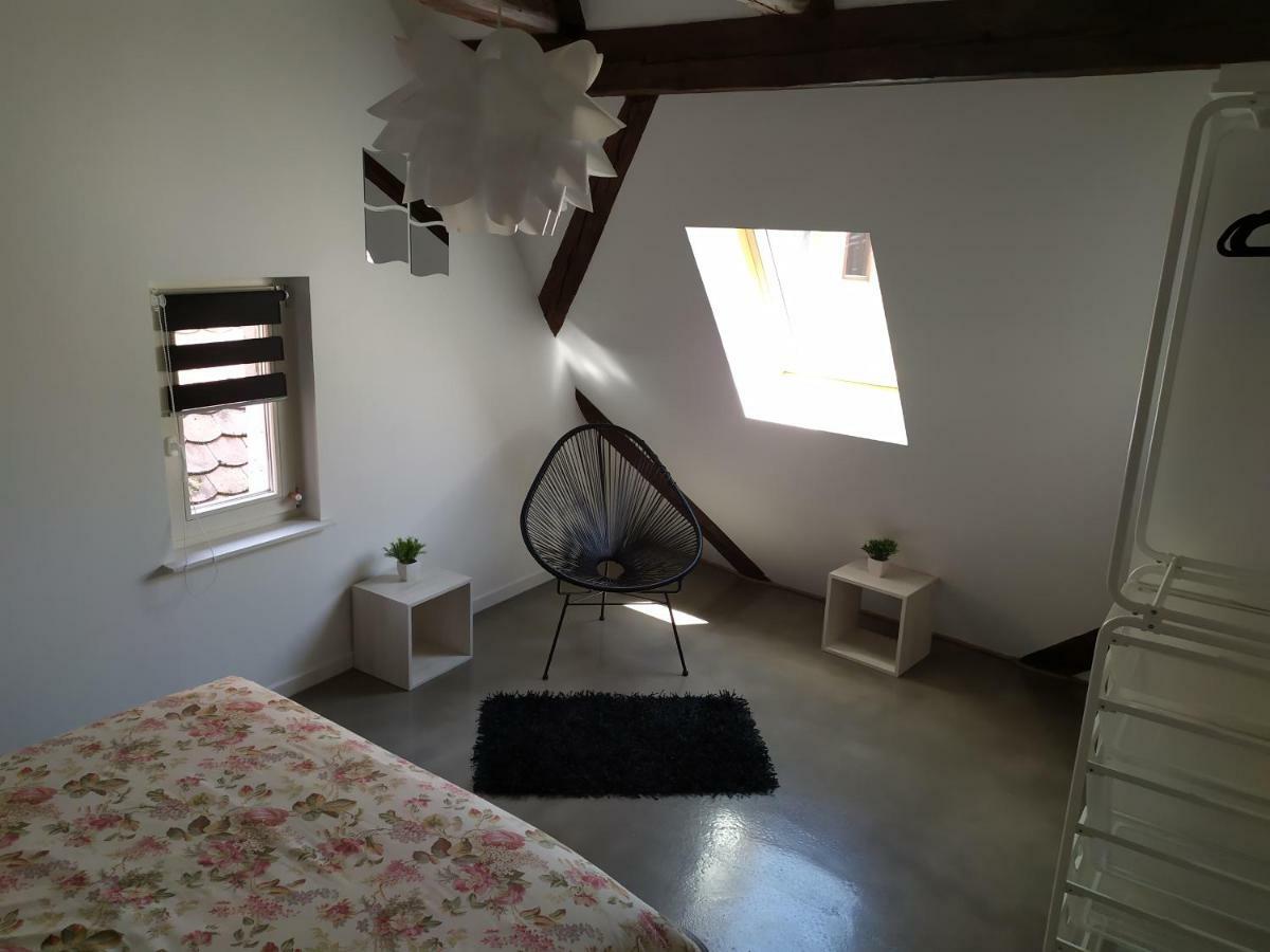La grande terrine Appartement Kaysersberg-Vignoble Buitenkant foto