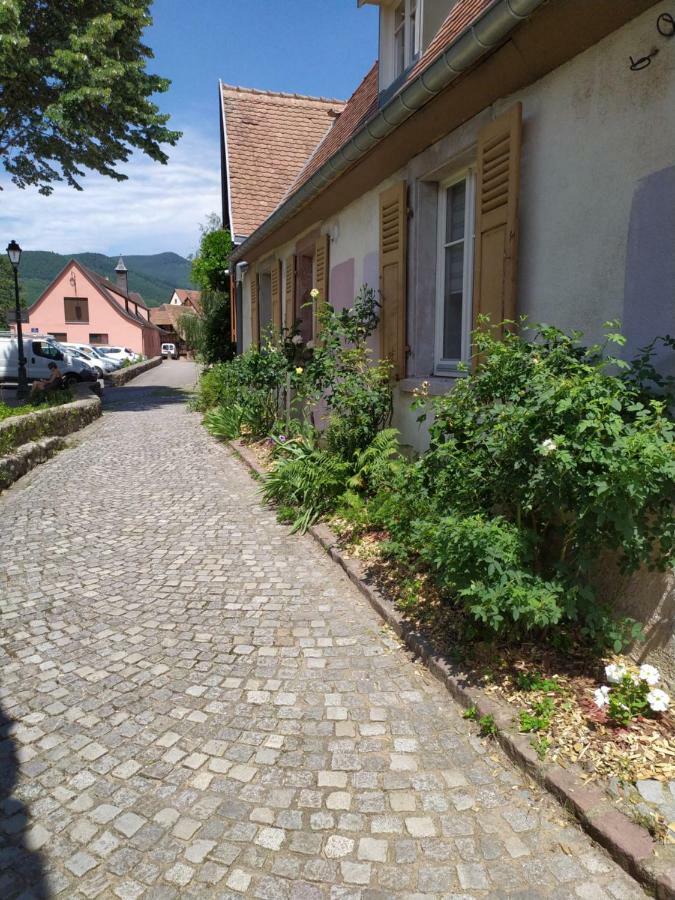La grande terrine Appartement Kaysersberg-Vignoble Buitenkant foto